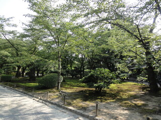 日本の庭の風景