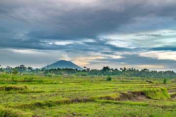 Mt. Agung (active volcano), as seen from rice fields near Ubud, Indonesia - Island of Bali [Taken in November 2017 prior to Eruption]