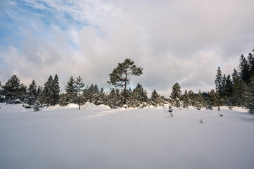 Winterlandschaft aus &Ouml;sterreich