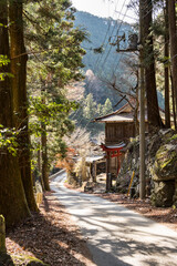 桐生川沿いの山道　群馬県桐生市梅田