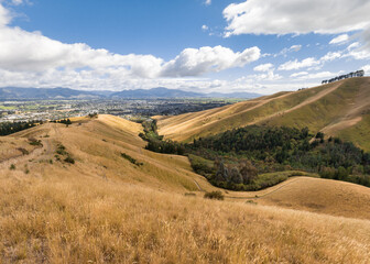 Fototapeta na wymiar hiking track across grass covered Wither Hills in Blenheim, South Island, New Zealand