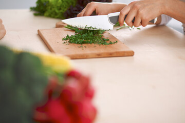 Close-up of human hands cooking vegetables salad in kitchen. Healthy meal and vegetarian concept