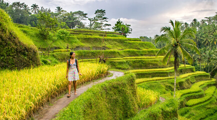 Young Asian girl walking on path among picturesque rice paddies in Bali, Indonesia