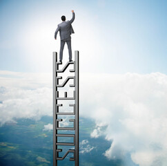 Businessman climbing the career ladder of success © Elnur