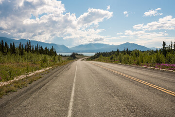 Highway in Yukon, Canada, in summer. Beautiful wild flowers  grow along the road. Lake Kluane is visible ahead 