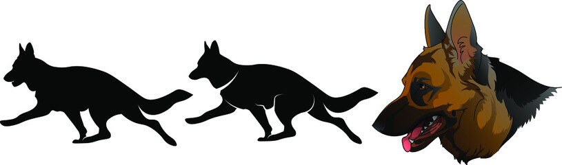 Silhouette of a dog running around the German Shepherd breed 
The beautiful head of the German Shepherd
A set of elements for the logo