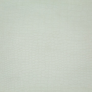 white paper texture © Hamdan