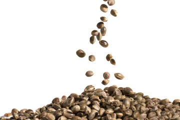 Close up of hemp seeds falling down in a pile and isolated on white background