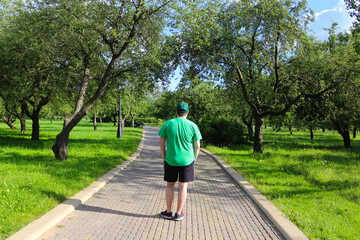 Lonely man walking along the alley in the summer park