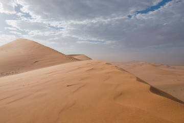 landscape of the desert dunes