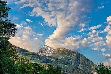 Fototapeta premium mountain in sun, with snow and forest, framed by leaves, in warm light, side light