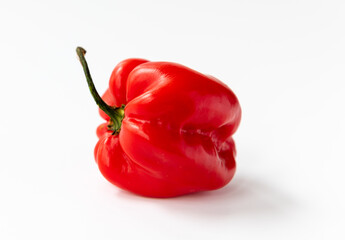 a habanero red chilli pepper