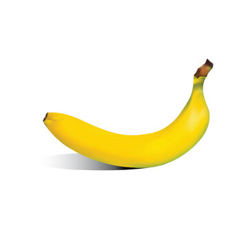 One Yellow robusta banana