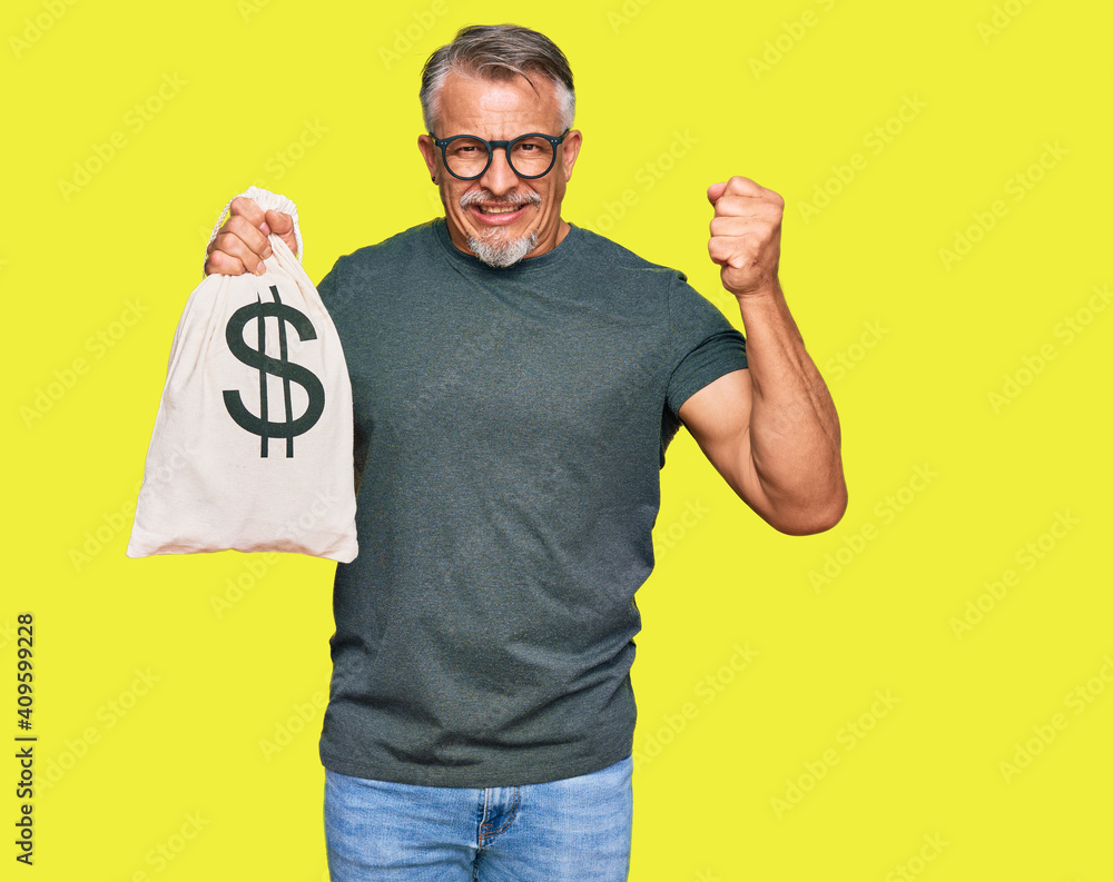 Sticker middle age grey-haired man holding dollars bag annoyed and frustrated shouting with anger, yelling c