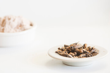 cricket flour close up