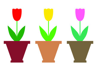 Vector illustrations of color tulips flowers icon set