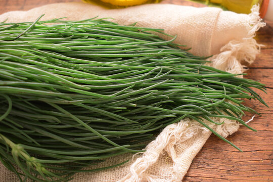 Salsola soda ft0203_0027  Agretti Salicorn fi Солянка содоносная 苏打猪毛菜