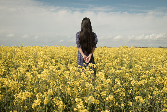 Back view of girl in vintage blue dress standing in field of yellow mustard seed rapeseed flowers (Sinapis alba)