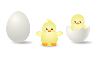 Set of cute chickens isolated on white background. Vector illustration