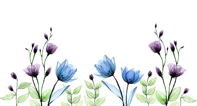 watercolor banner, border with transparent flowers. vintage hand drawing with blue and purple wildflowers and green herbs and branches on a white background. delicate watercolor