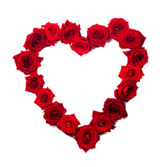Rose flowers heart on white