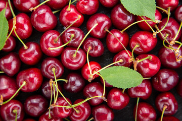 Close up of pile of ripe cherries with stalks and leaves. Large collection of fresh red berry.