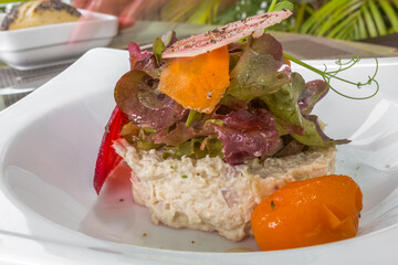Rillettes de poisson et salade 