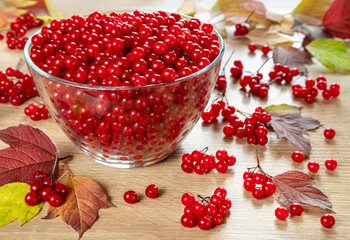 Red viburnum berries in a glass bowl