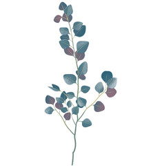 Blooming spring floral card. Spring bouquet. Vintage wedding invitation. Leaves in beautiful style on white background.