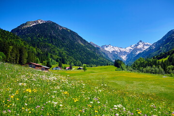 Tal in den Bergen, Alpen im Frühling mit Blumenwiesen, Gipfel mit Schnee und Hütten