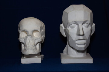 plaster skull and head of man, mock up for drawing, blue background, human body part