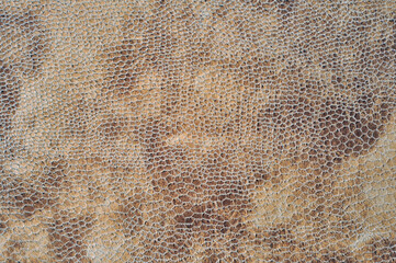 Closeup of leather texture (frontal shot)