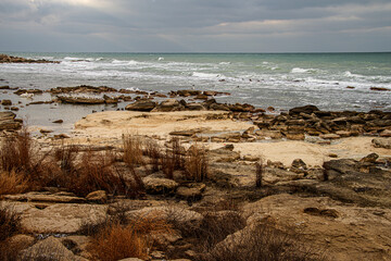Каспийский берег в январе