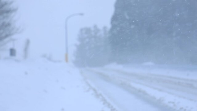 冬の道路　暴風雪　吹雪　雪　雪道