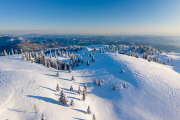 Aerial view of winter landscape with snow covered spruce forest in the mountains with beautiful sun light.