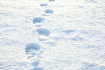 Footprints on white snow outdoors. Winter season