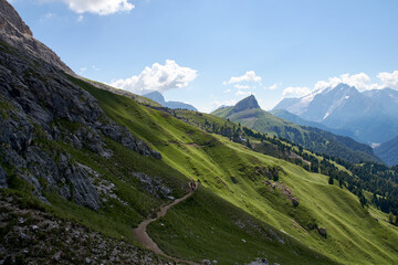 Fototapeta na wymiar summer landscape in Val di Fassa