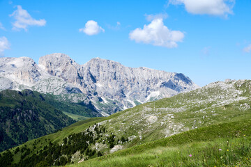 summer landscape in Val di Fassa
