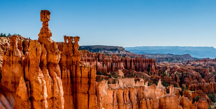Die Orange leuchtenden "Hoodoo&acute;s" des Bryce Canyon Nationalpark in den USA.