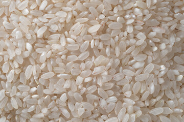 Rice, close up photo for healthy and eco food background.