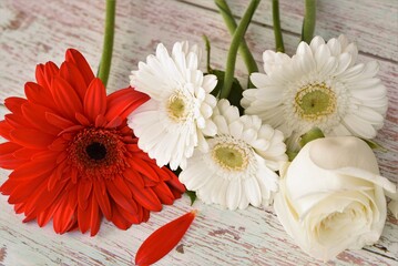 red and white gerberas and white rose