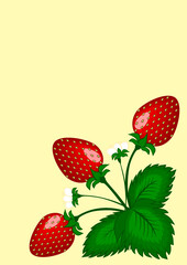 Strawberry berries on the bush - vertical illustration.
