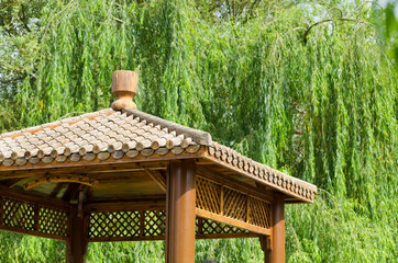 Gazebo wooden roof