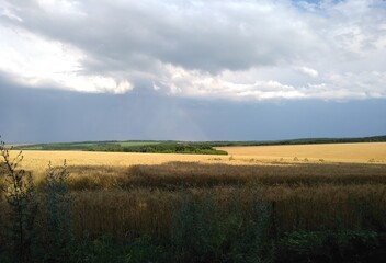 Fototapeta premium landscape with clouds