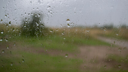 On rainy, stormy day, behind glass with sparkling raindrops, you can see  blurred landscape of meadow plain with green and yellow grass, lone tree standing in distance, and muddy brown country road.