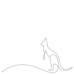 Kangaroo animal on white background, vector illustration