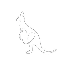 Kangaroo animal on white background, vector illustration