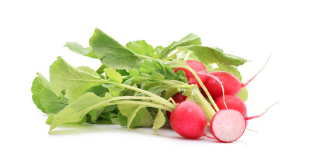 Red rip raw radish in bunch with green leaves  closed up isolated on white