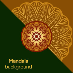 Oriental pattern, vector illustration. Floral round mandala. Arabic, Indian, moroccan,spain, turkish, pakistan, chinese, mystic, ottoman motifs.