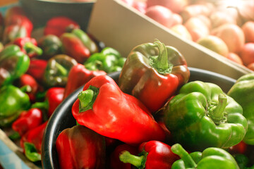 This is a new crop of vegetables from the village garden. A lot of red ripe tomatoes and sweet peppers are on the table in boxes and basins